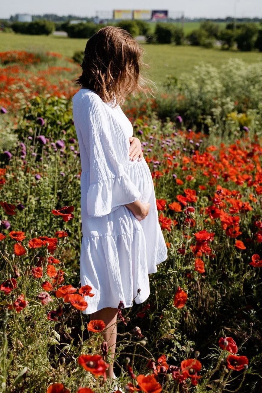 Dress for pregnant and nursing mothers 1459735
